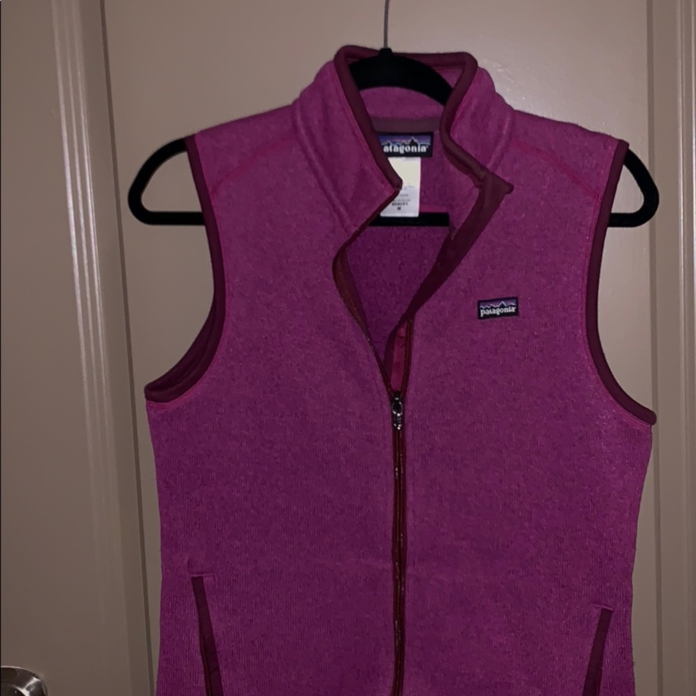 Patagonia vest
